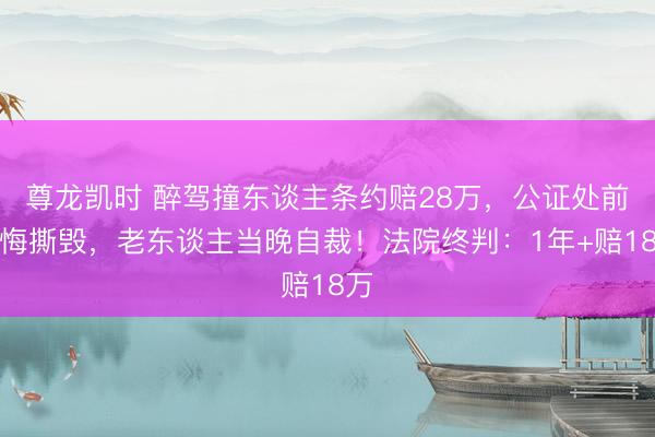 尊龙凯时 醉驾撞东谈主条约赔28万,公证处前反悔撕毁,老东谈主当晚自裁!法院终判:1年+赔18万