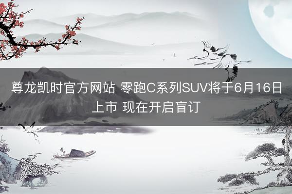 尊龙凯时官方网站 零跑C系列SUV将于6月16日上市 现在开启盲订