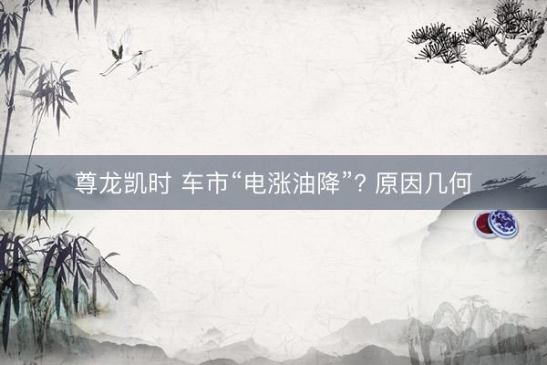 尊龙凯时 车市“电涨油降”? 原因几何