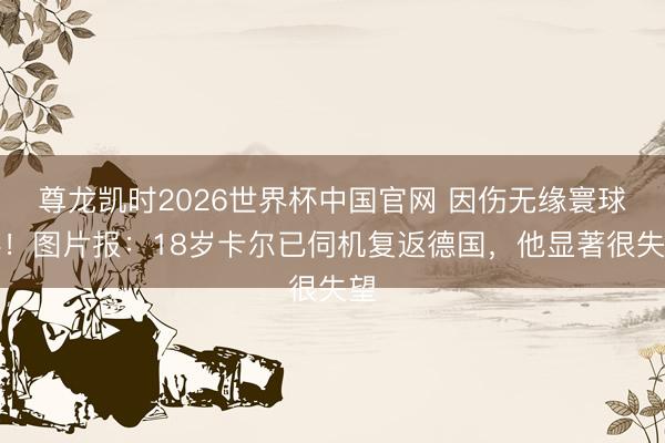 尊龙凯时2026世界杯中国官网 因伤无缘寰球杯！图片报：18岁卡尔已伺机复返德国，他显著很失望
