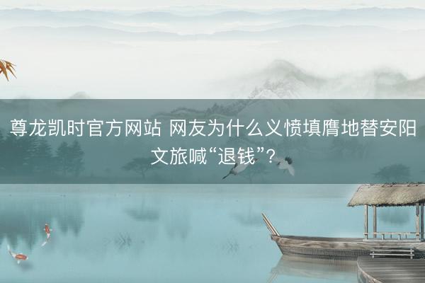 尊龙凯时官方网站 网友为什么义愤填膺地替安阳文旅喊“退钱”?
