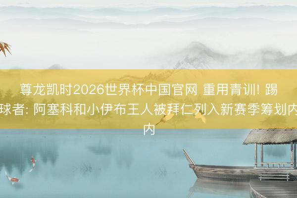 尊龙凯时2026世界杯中国官网 重用青训! 踢球者: 阿塞科和小伊布王人被拜仁列入新赛季筹划内