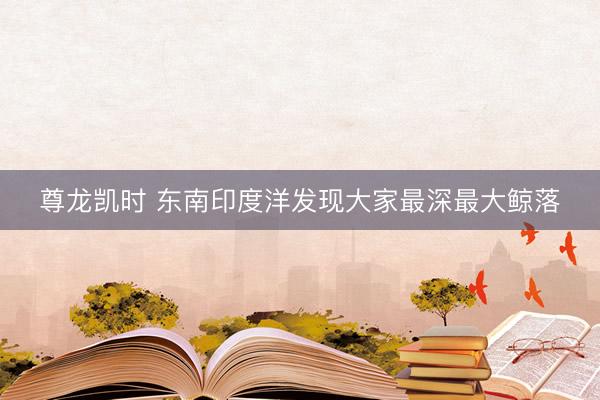 尊龙凯时 东南印度洋发现大家最深最大鲸落
