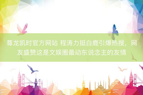 尊龙凯时官方网站 程涛力挺白鹿引爆热搜,网友盛赞这是文娱圈最动东说念主的友情