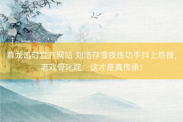 尊龙凯时官方网站 刘浩存雪夜练功手抖上热搜，老戏骨叱咤：这才是真传承！