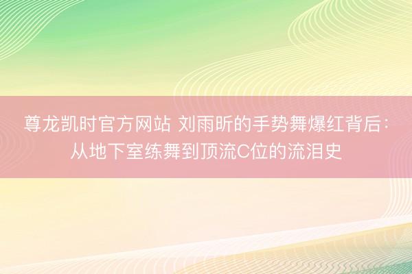 尊龙凯时官方网站 刘雨昕的手势舞爆红背后:从地下室练舞到顶流C位的流泪史