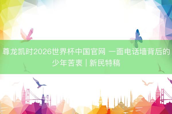 尊龙凯时2026世界杯中国官网 一面电话墙背后的少年苦衷 | 新民特稿