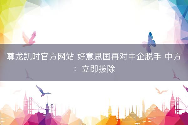 尊龙凯时官方网站 好意思国再对中企脱手 中方：立即拔除
