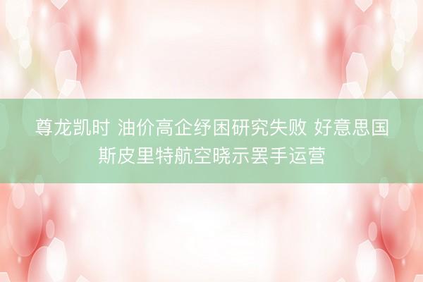 尊龙凯时 油价高企纾困研究失败 好意思国斯皮里特航空晓示罢手运营