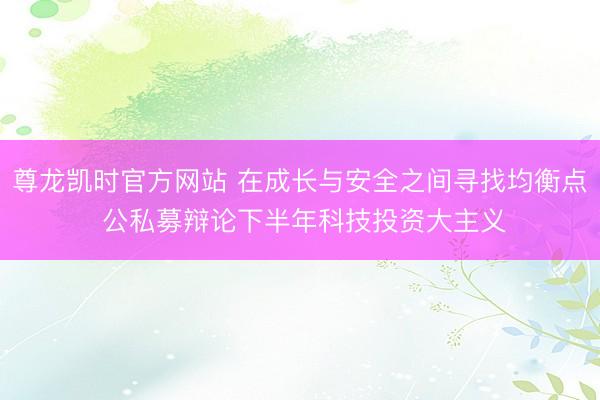尊龙凯时官方网站 在成长与安全之间寻找均衡点 公私募辩论下半年科技投资大主义