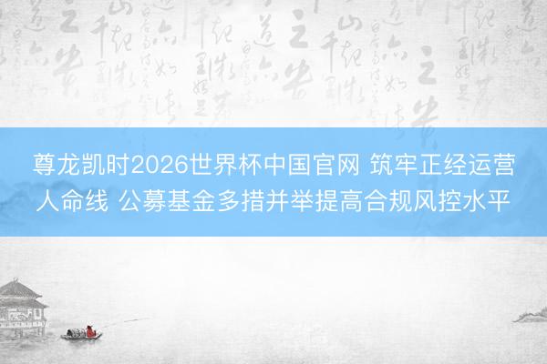 尊龙凯时2026世界杯中国官网 筑牢正经运营人命线 公募基金多措并举提高合规风控水平