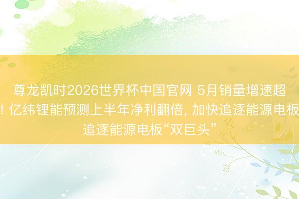 尊龙凯时2026世界杯中国官网 5月销量增速超宁德时间! 亿纬锂能预测上半年净利翻倍， 加快追逐能源电板“双巨头”