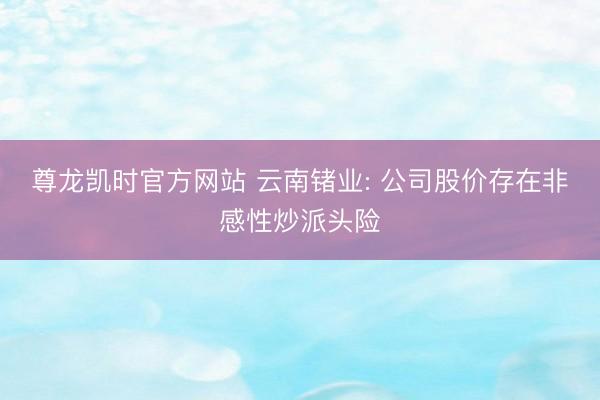尊龙凯时官方网站 云南锗业: 公司股价存在非感性炒派头险