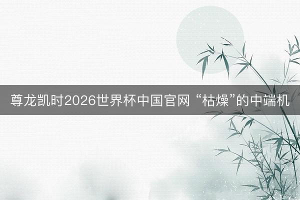 尊龙凯时2026世界杯中国官网 “枯燥”的中端机