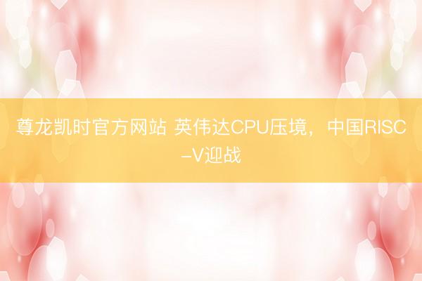 尊龙凯时官方网站 英伟达CPU压境，中国RISC-V迎战